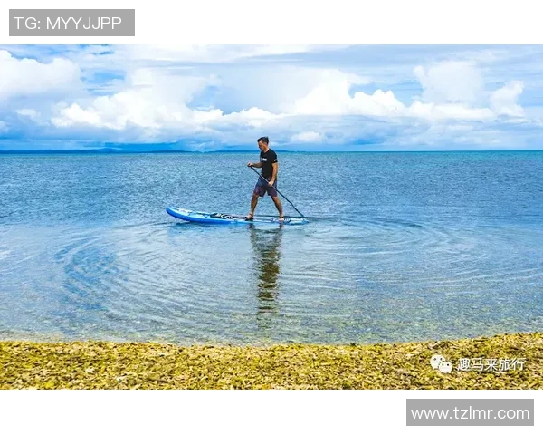 重庆极限运动队团队协作的成功之道与挑战分析