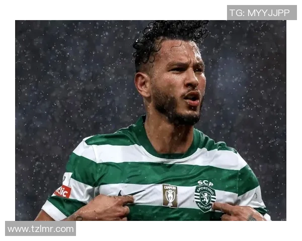 意甲激战：尤文图斯凭点球险胜波尔图全场沸腾数据分析揭示精彩瞬间